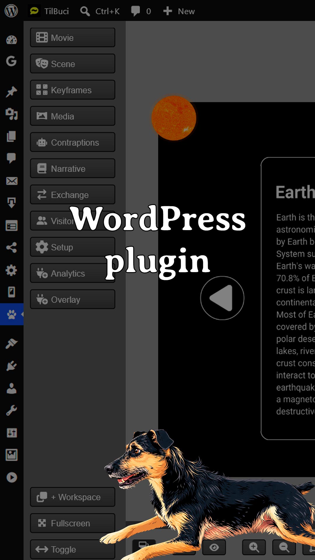 WordPress plugin